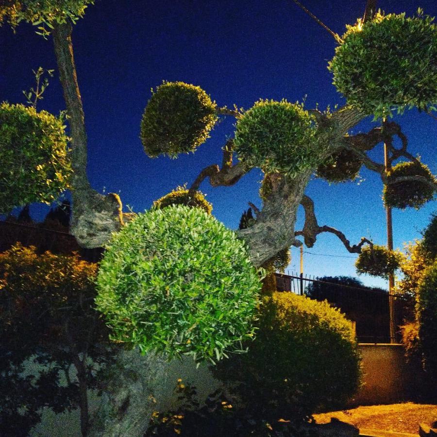 Bnb Villa Lucia 巴里 外观 照片