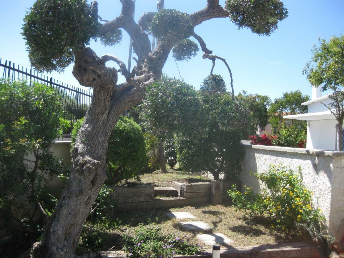 Bnb Villa Lucia 巴里 外观 照片